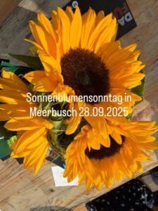 Sunflower Sunday in Meerbusch! 28.09.2025